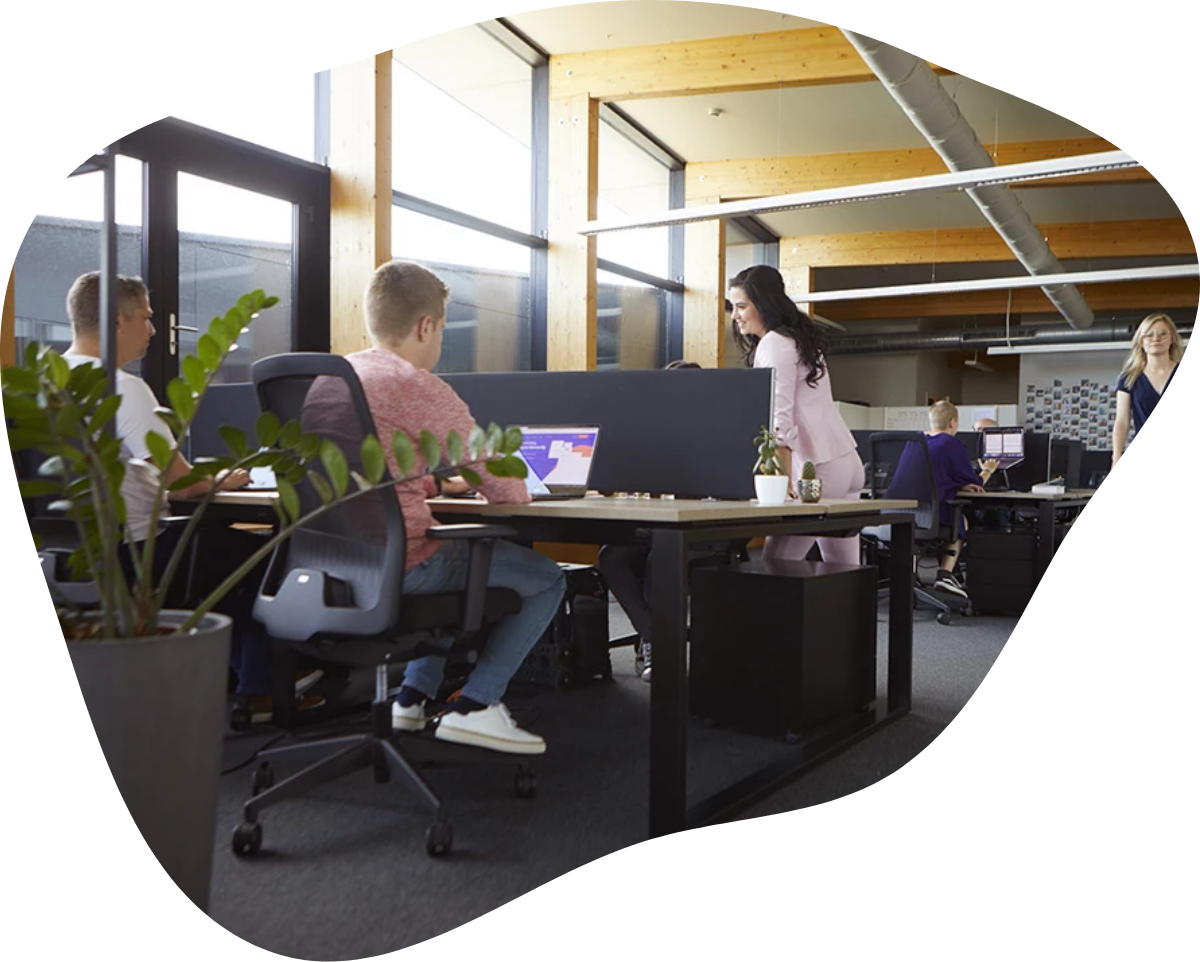Flexmail team Flexmail team